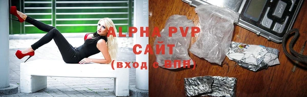ешки Белокуриха