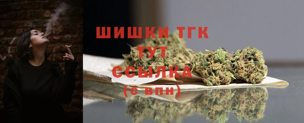 ешки Белокуриха