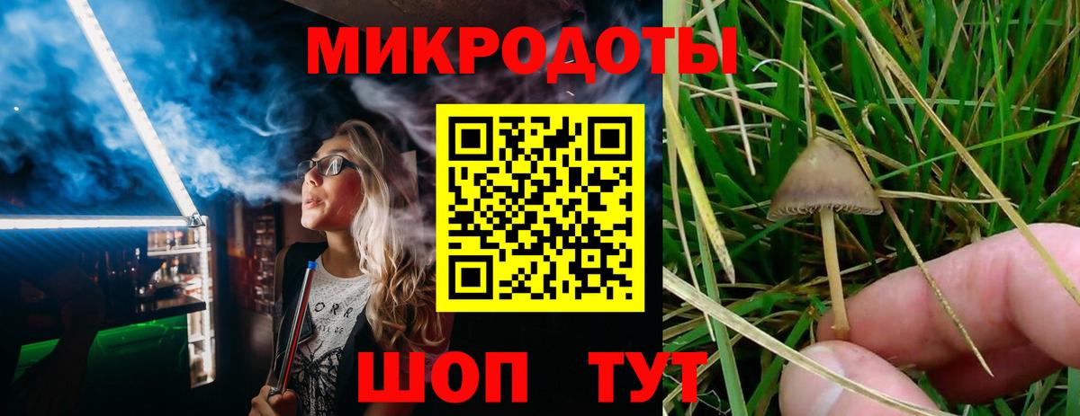 Галлюциногенные грибы GOLDEN TEACHER  закладка  Бирск 